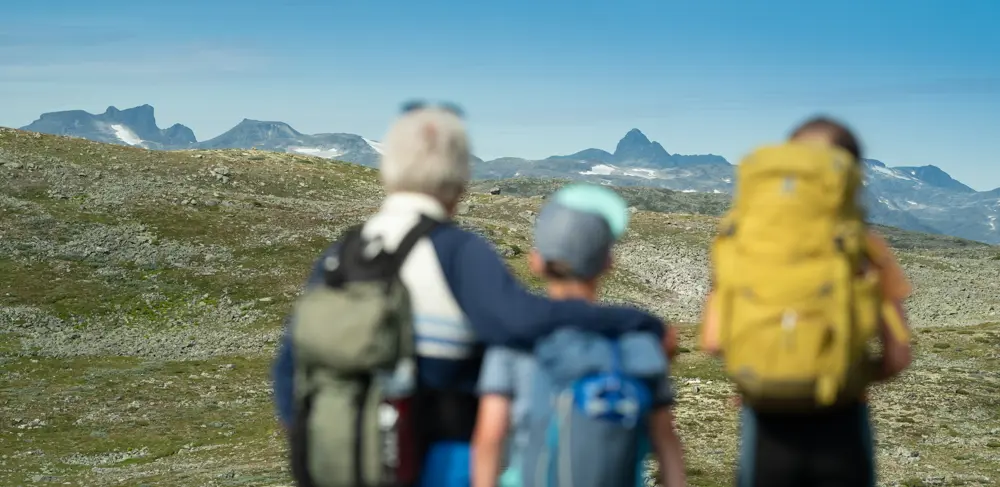 Family hike on Filefjellseggen between Skørsnøse and Støgonøse, with views of Jotunheimen's peaks