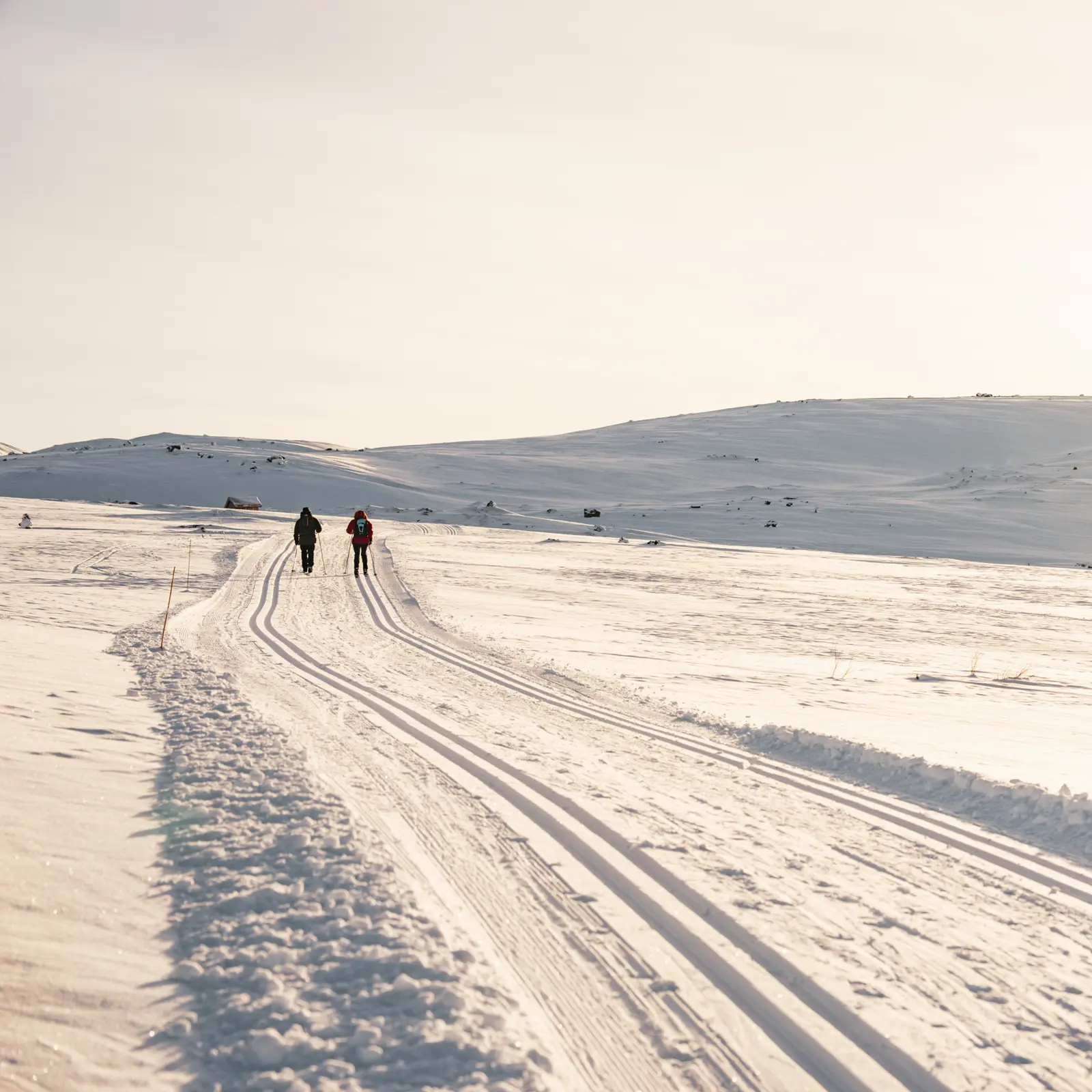 Cross-country skiing trails at Tyin Filefjell