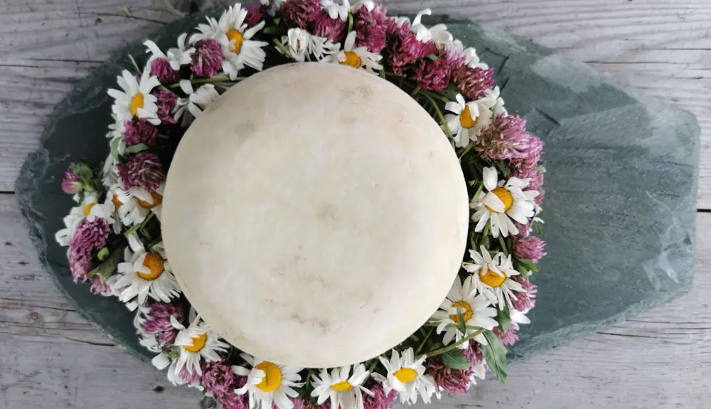 Local cheeses are produced at Olestølen. 