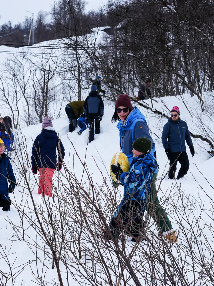 490528252 1209814254483077 1305540137709655291 N