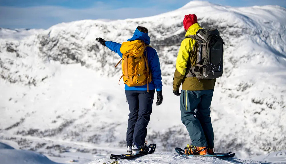 To personer på truger som ser på utsikten på Tyin Filefjell