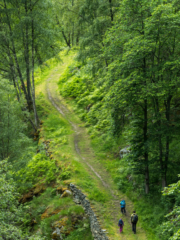 Kongevegen Galdane