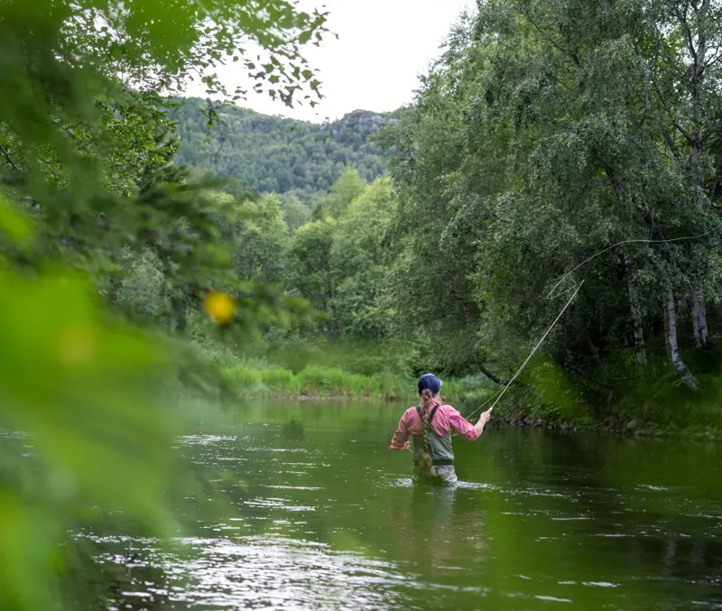 Kvinne som fisker fluefiske i elv