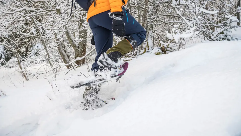 Nærbillede af snesko på Tyin Filefjell