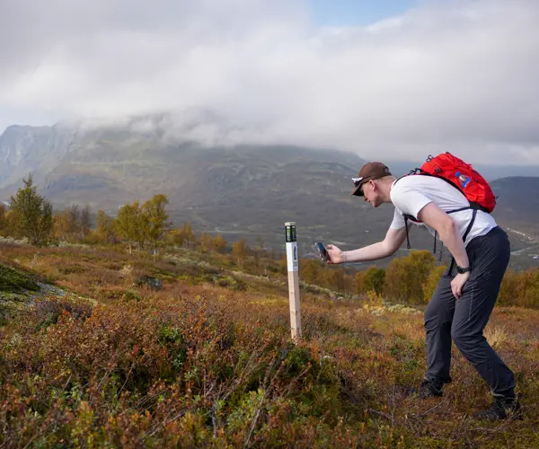 Deltaker scanner stolpe under Stolpejakten på Tyin Filefjell