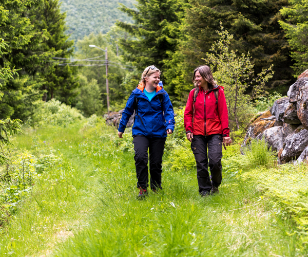 Hiking The Kings Road By Filefjell