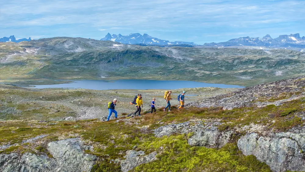 Family hike on Filefjellseggen between Skørsnøse and Støgonøse, with views of Jotunheimen's peaks