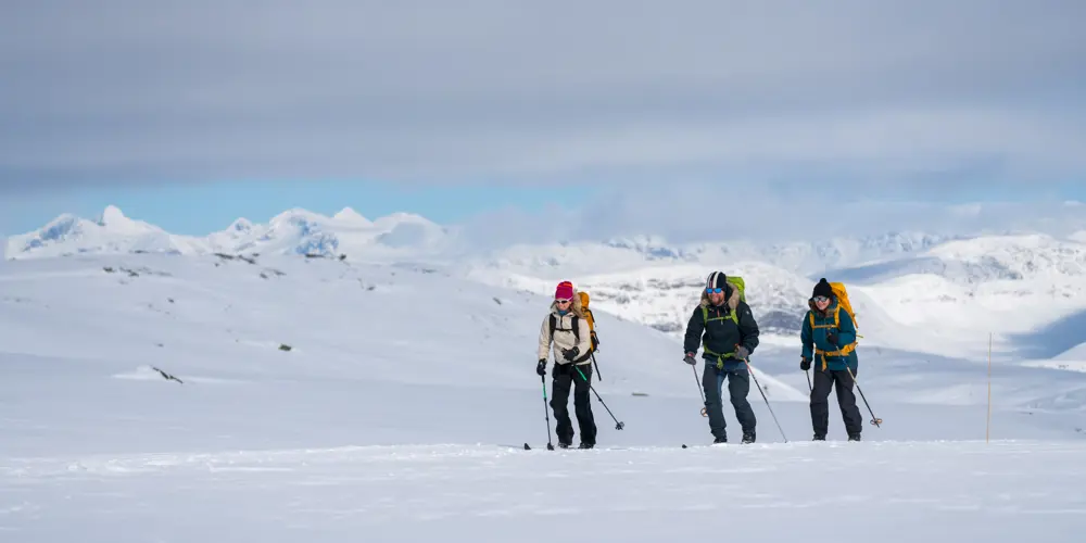 Skiers on mountain skiing at Tyin Filefjell