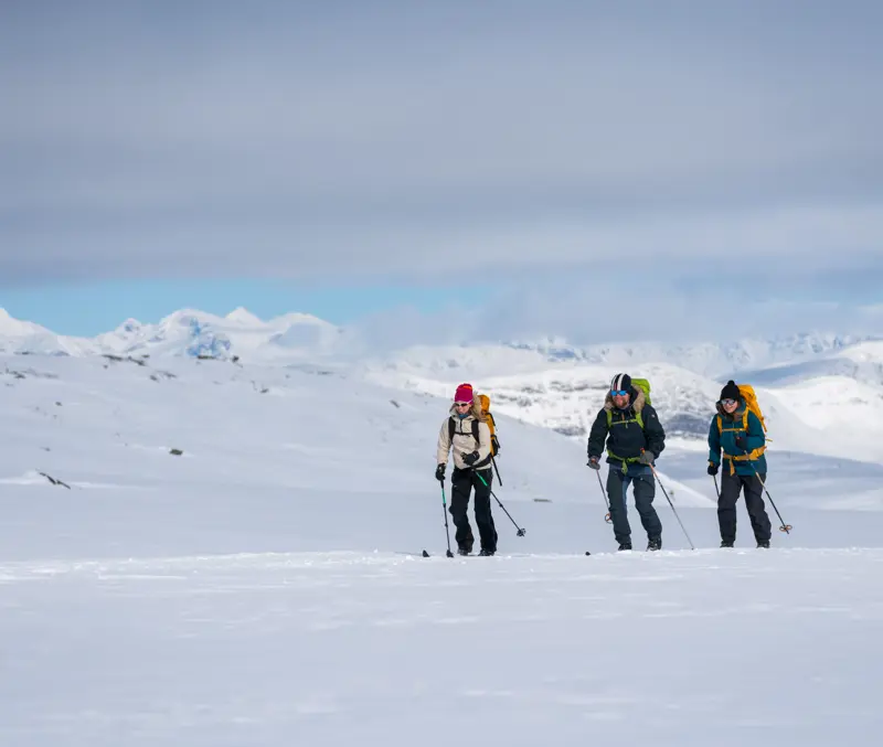 Skigåere på fjellski på Tyin Filefjell