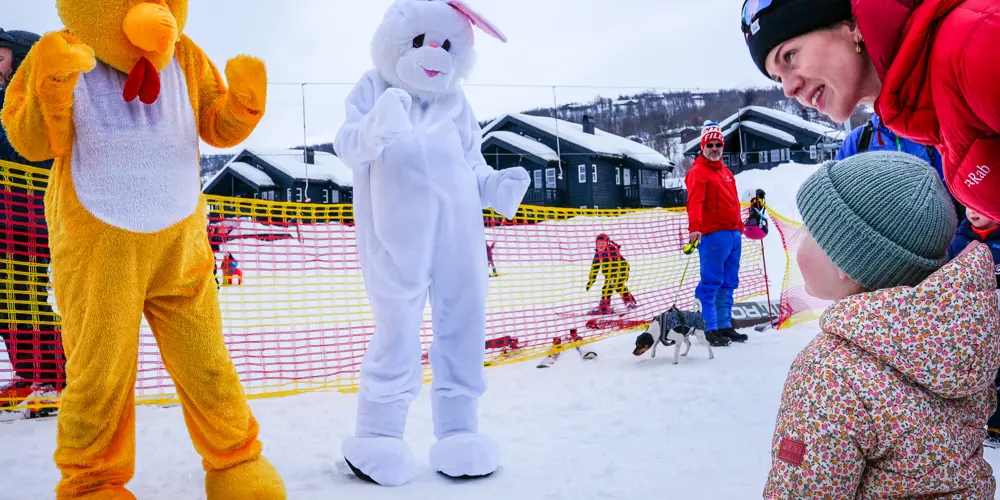 497074246 1235567078574461 1304897610368000816 N